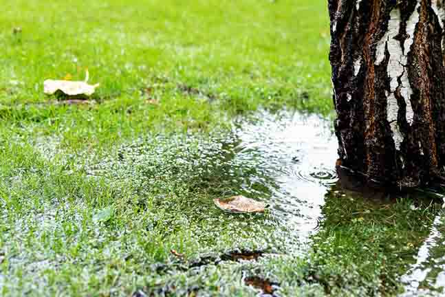 How Shifting Soil Can Affect Your Sewer Lines